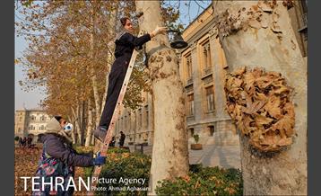 سومین رویداد هنری "پاییز برگ" در میدان مشق 37