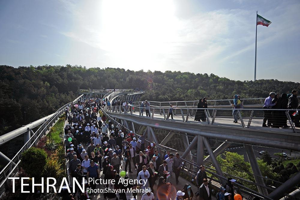 همایش پیاده روی خانوادگی کارکنان شهرداری 16