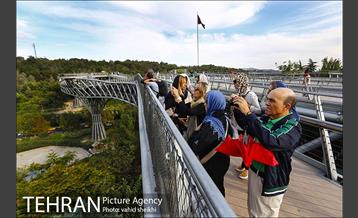 پل طبیعت در اولین روزهای پاییزیی 16