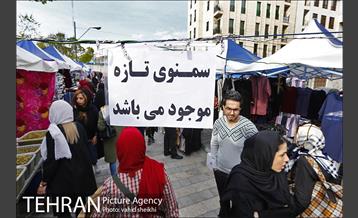 بازارچه نوروزی بساط گستران منطقه 2 13