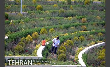 روزهای پایانی پروژه ی مجموعه نمایشگاهی شهر آفتاب 9