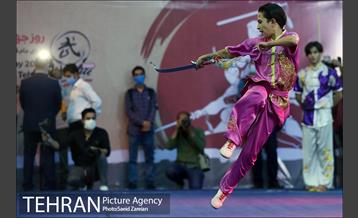 مراسم روز جهانی ووشو 9