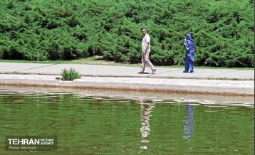 طبیعت بهاری در باغ ملی گیاهشناسی ایران 3