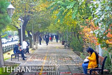 طبیعت پاییزی بلوار کشاورز 1