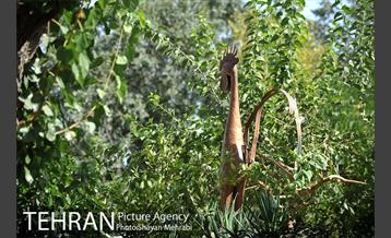 بوستان هفت چنار 14