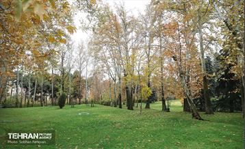 طبیعت پاییزی مجموعه فرهنگی تاریخی سعدآباد  3
