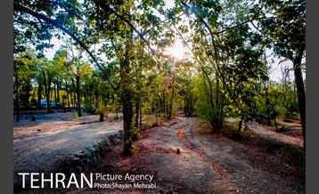 بوستان جنگلی چیتگر 27