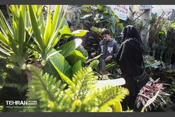 بازار گل شهید محلاتی در آخرین روزهاى سال 34