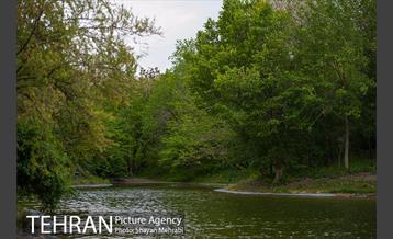 باغ گیاه‌شناسی ملی ایران 17
