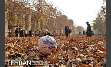 سومین رویداد هنری "پاییز برگ" در میدان مشق 39