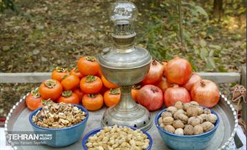 چهارمین جشنواره خرمالوی کن 11