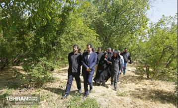 بازدید اعضای شورای اسلامی شهر از منطقه ۵ 1