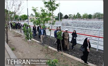 بازدید شهردار،مدیران شهری و اصحاب رسانه از محله هرندی 4