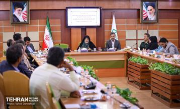 بازدید نرگس معدنی پور از منطقه 17