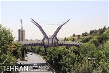 تنفس طبیعت زیبای منطقه ۷ در روزهای حضور کمرنگ شهروندان 18