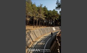 پارک جنگلی چیتگر 7