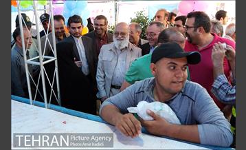 بازدید رییس شورای اسلامی شهر تهران و مدیر عامل سازمان میادین شهرداری تهران از مراکز عرضه بهداشتی دام 3