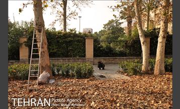 سومین رویداد هنری "پاییز برگ" در میدان مشق 27