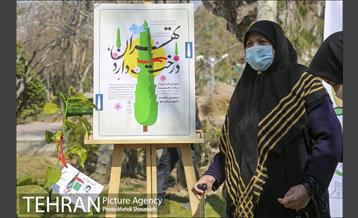 مراسم روز درختکاری در منطقه 7