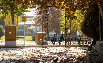 سمفونی رنگ های پاییزی - بوستان رازی 12