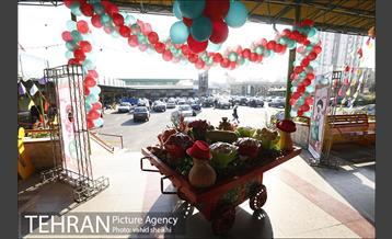 خرید شب یلدا در بازار میوه و تر بار صادقیه 6