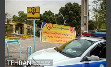 روز طبیعت بدون انسان 16