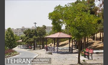 بوستان جنگلی یاس فاطمی 12