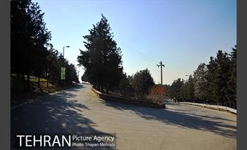 پارک جنگلی سرخه حصار 1