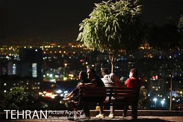 شب های تهران 14