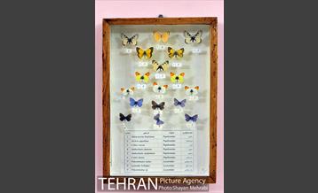 موزه حیات وحش هفت چنار 23