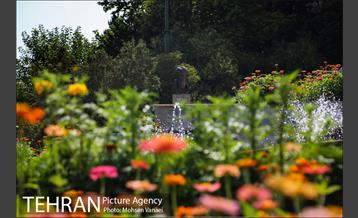 بوستان ملت 13