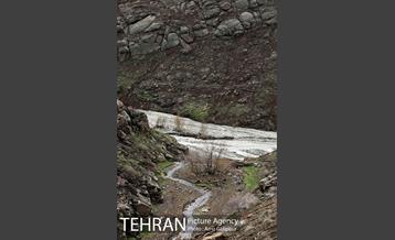 وردیج ، دنیایی از زیبایی 8