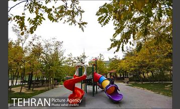 طبیعت پاییزی بوستان فدک 5