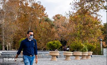 سمفونی رنگ های پاییزی  10