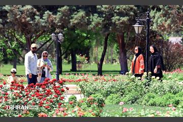 طبیعت بهاری در باغ ملی گیاهشناسی ایران 28