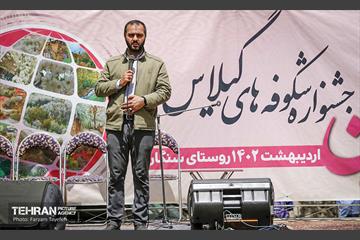 دومین جشنواره شکوفه‌های گیلاس 4