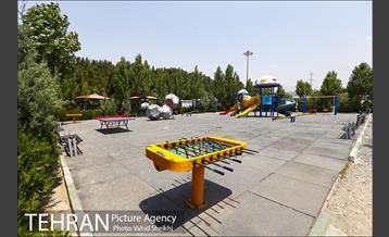 بوستان جنگلی یاس فاطمی 30