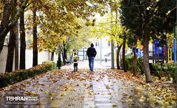 یک روز پاییزی در منطقه ۱۴