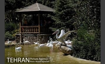 افتتاح اولین "باغچه خبر" در تهران 19