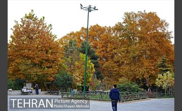 پاییز در بوستان ملت 19