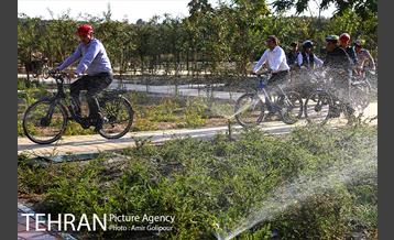 بازدید پیروز حناچی شهردار تهران از بوستان جنگلی چیتگر تا دریاچه شهدای خلیج فارس 9