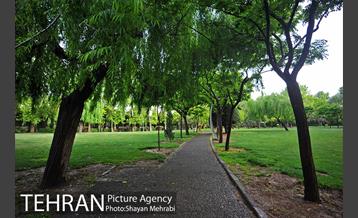 بوستان لاله 11