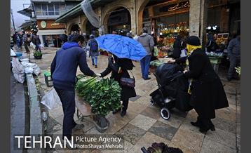 بارش باران در تهران 4