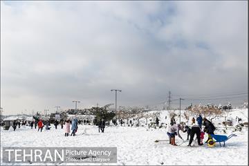 جشنواره مجسمه های برفی 24