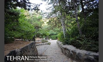 بوستان جمشیدیه 11