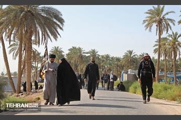 پیاده روی اربعین حسینی؛ طریق العلماء 17