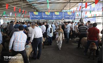 بازدید از مرکز عرضه بهداشتی دام ویژه عید قربان 40