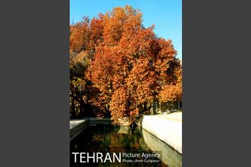 پاییز در روستای ازگی 3