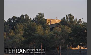 فراموش شدگان اداره منابع طبیعی در بوستان چیتگر 25