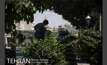 بلوار کشاورز 7